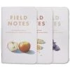 Field Notes Harvest Fall 2021 Pack B Ruled Dot Ledger Memo Notebook 3 Pack FNC-52B